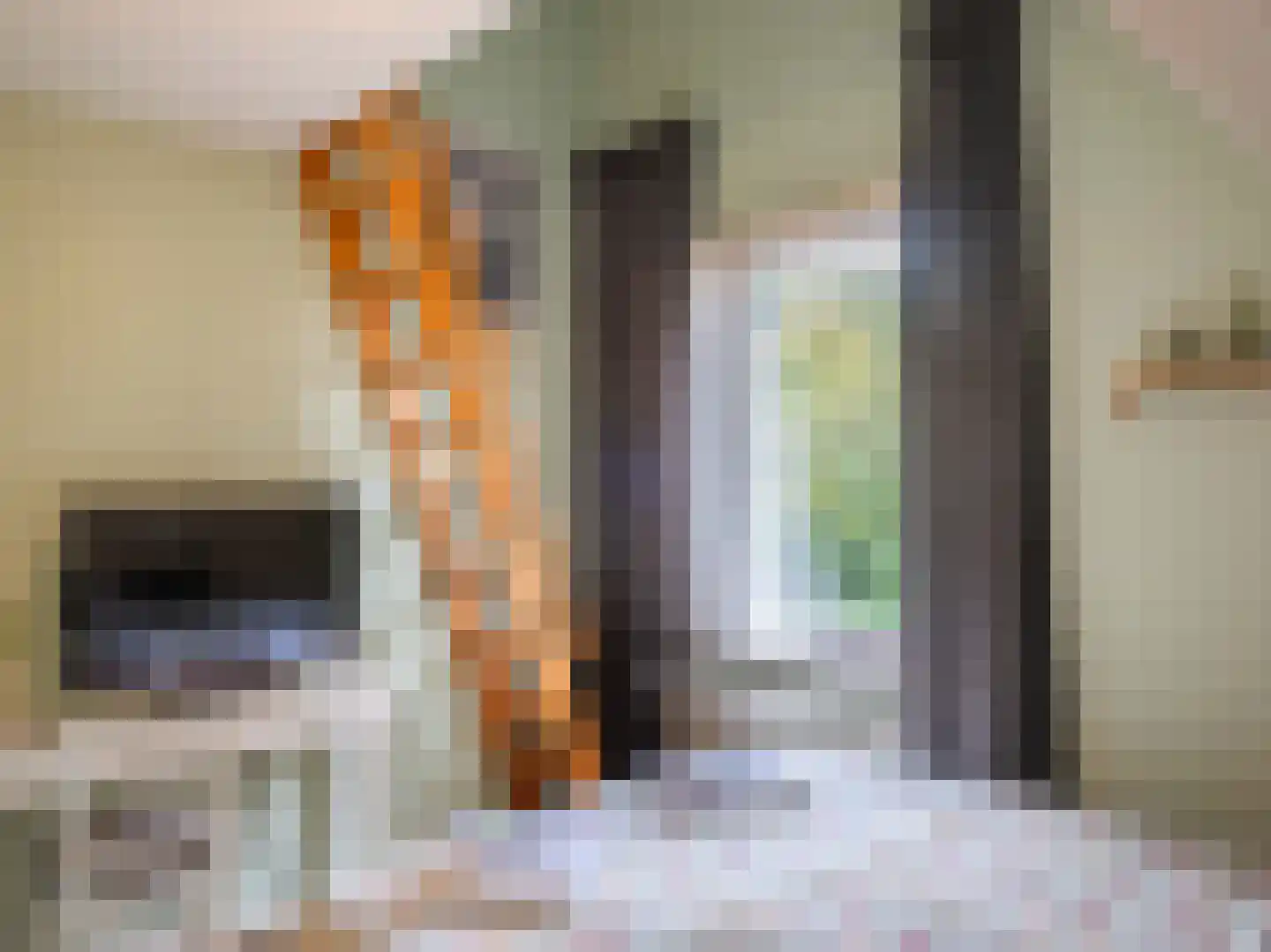 Beemsterlaan 2 Bergen (NH) thumbnail 35