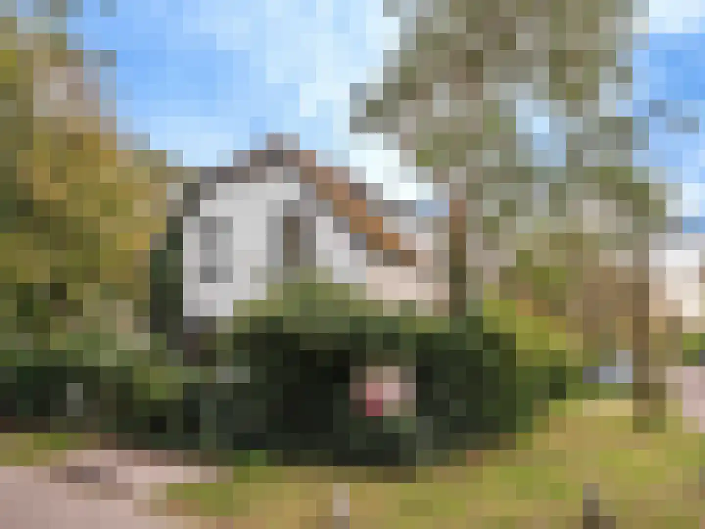 Beemsterlaan 2 Bergen (NH) thumbnail 66