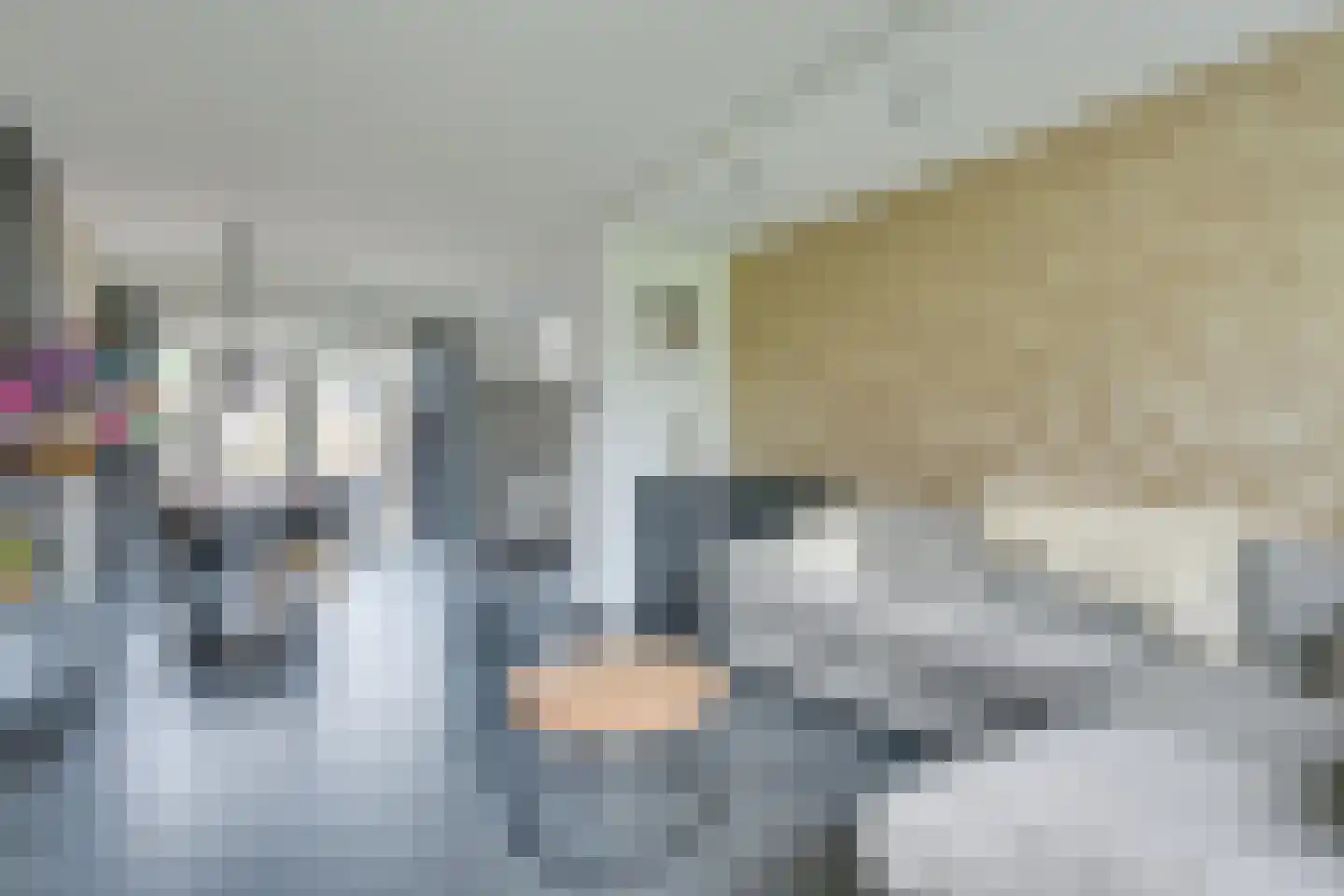 Beemsterlaan 21 Hoogwoud thumbnail 12