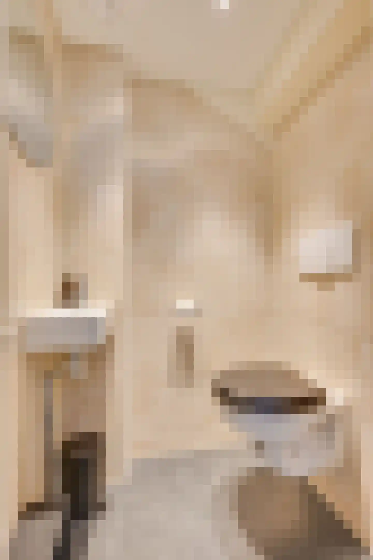 Beemsterlaan 21 Hoogwoud thumbnail 20