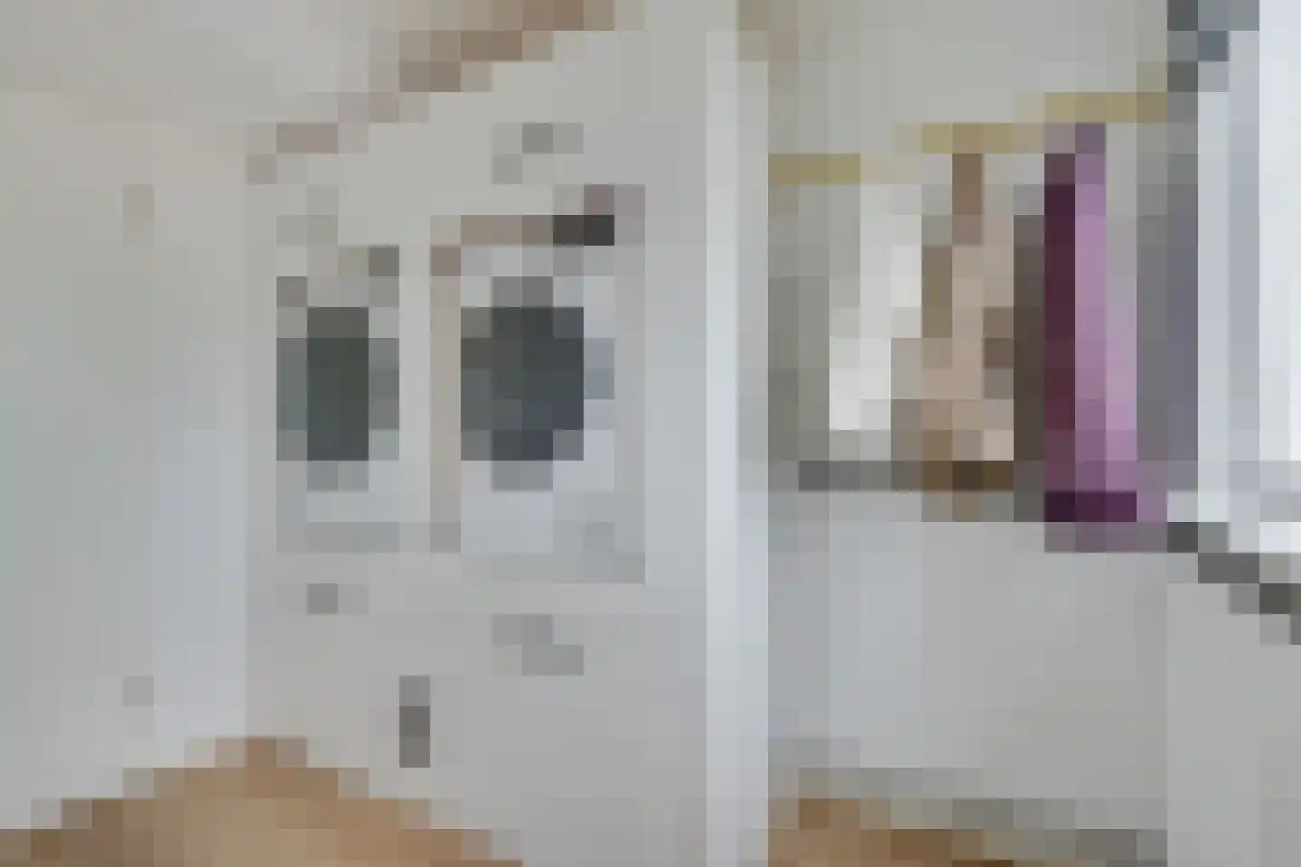 Beemsterlaan 21 Hoogwoud thumbnail 34