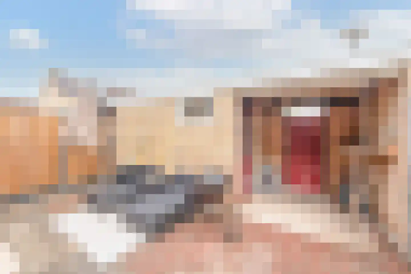 Beemsterlaan 21 Hoogwoud thumbnail 40