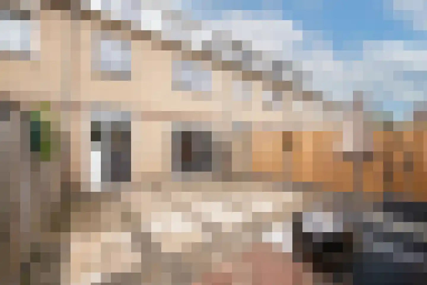 Beemsterlaan 21 Hoogwoud thumbnail 41