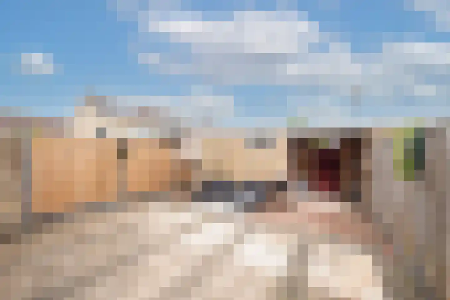 Beemsterlaan 21 Hoogwoud thumbnail 6