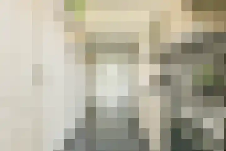 Beemsterstraat 116 Amsterdam thumbnail 14