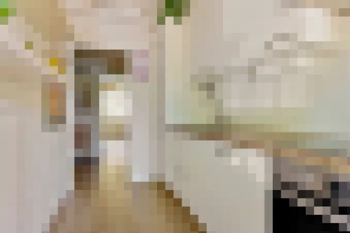 Beemsterstraat 128 Amsterdam thumbnail 9