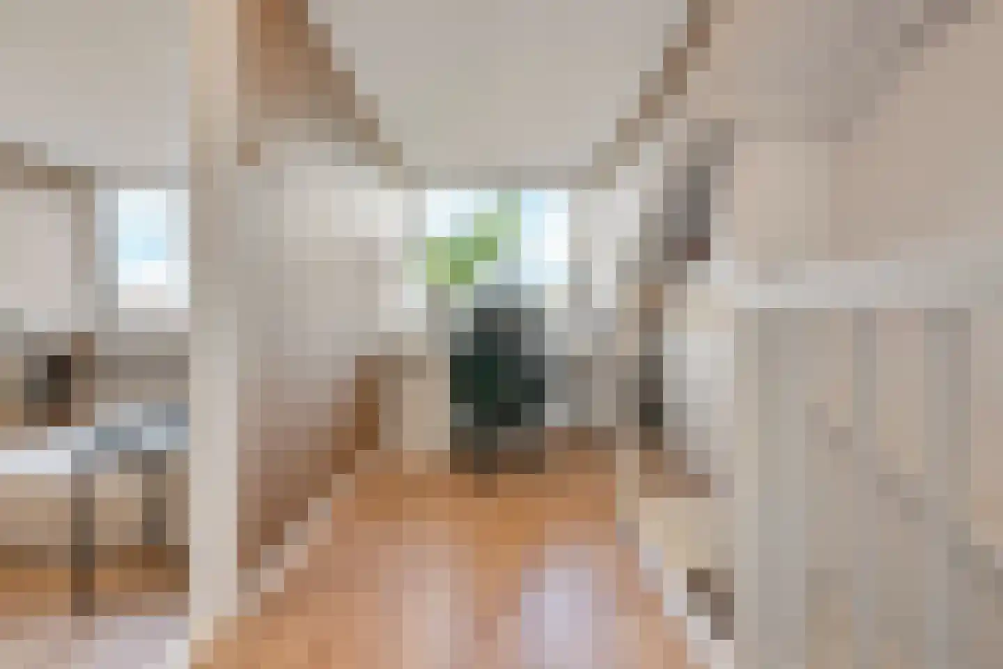 Beemsterstraat 32 Assendelft thumbnail 31