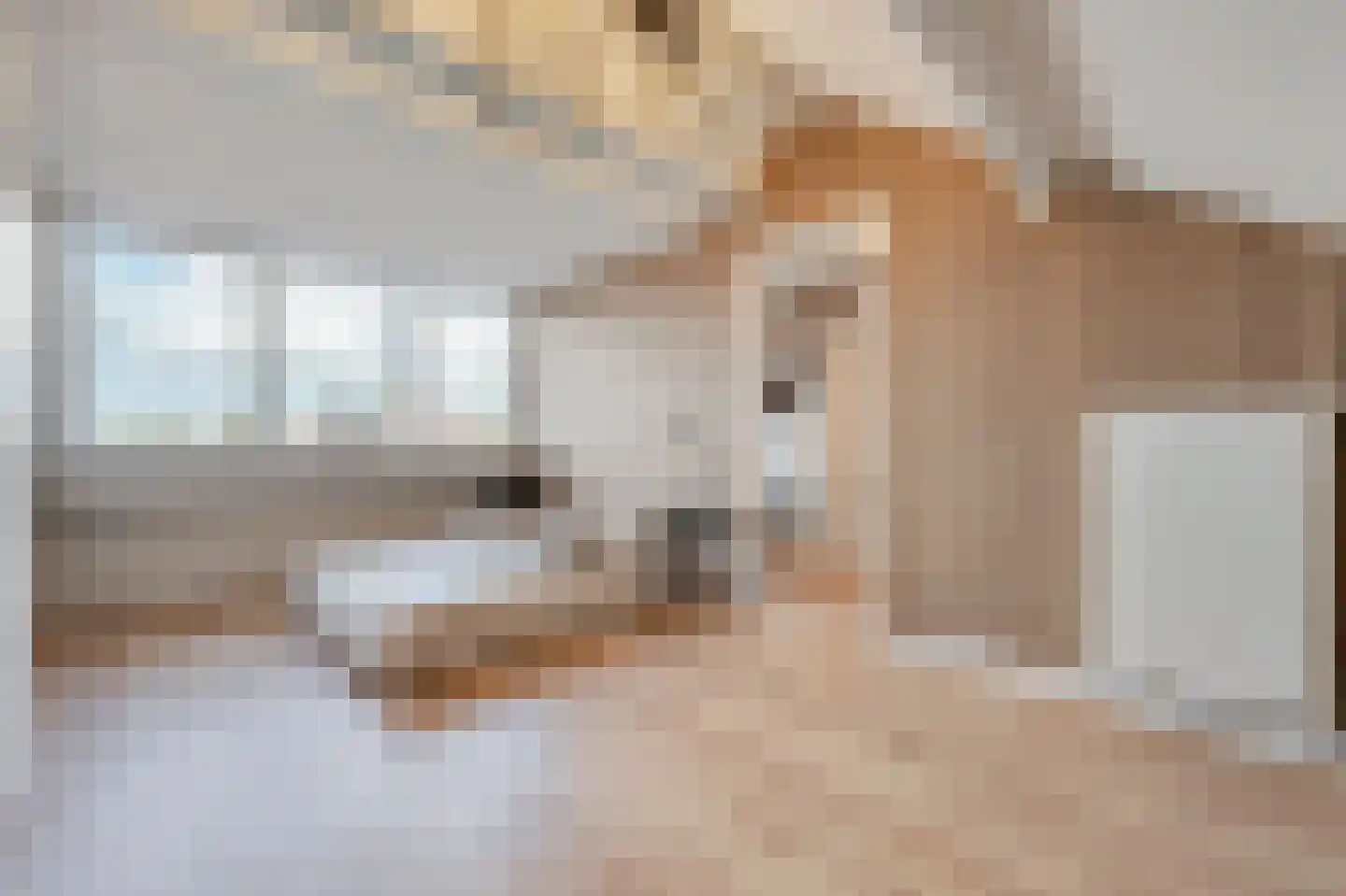 Beemsterstraat 32 Assendelft thumbnail 32