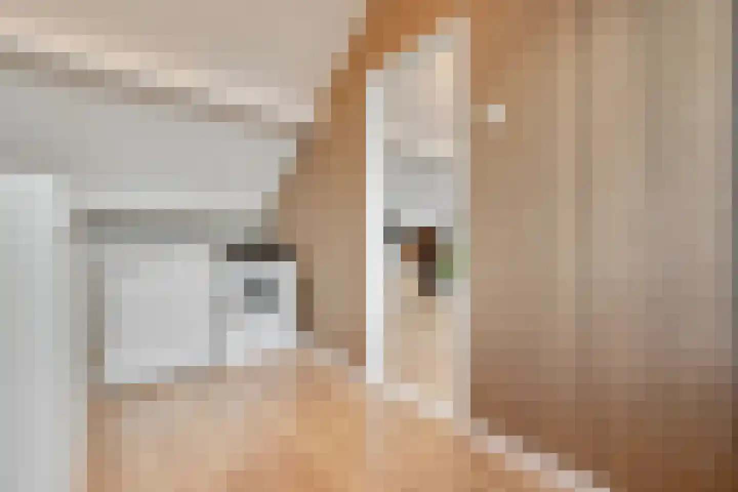 Beemsterstraat 32 Assendelft thumbnail 34