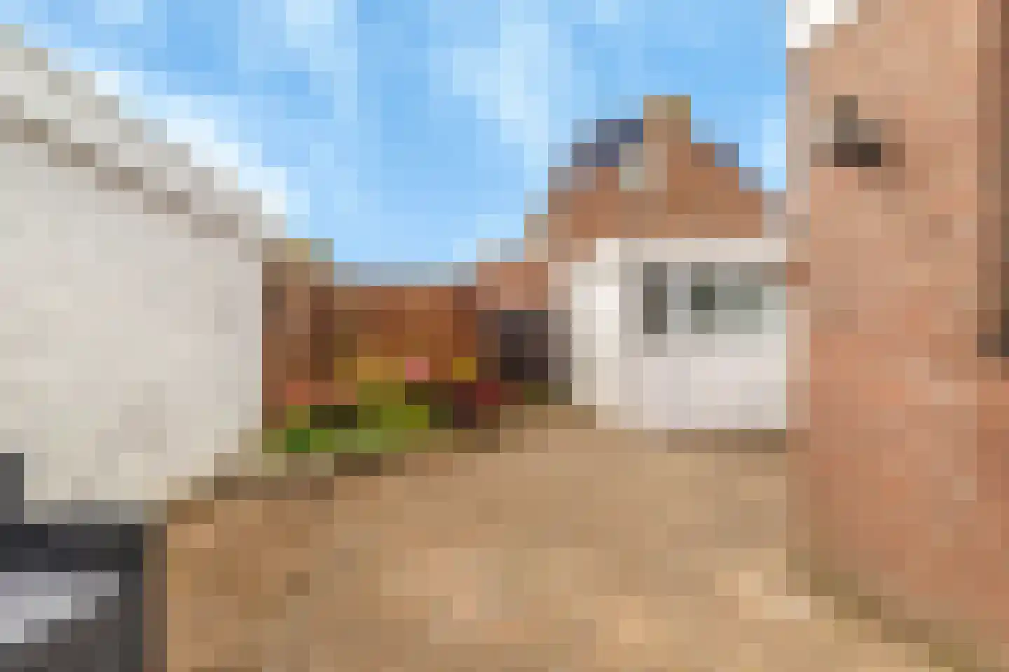 Beemsterstraat 34 Hoofddorp thumbnail 14