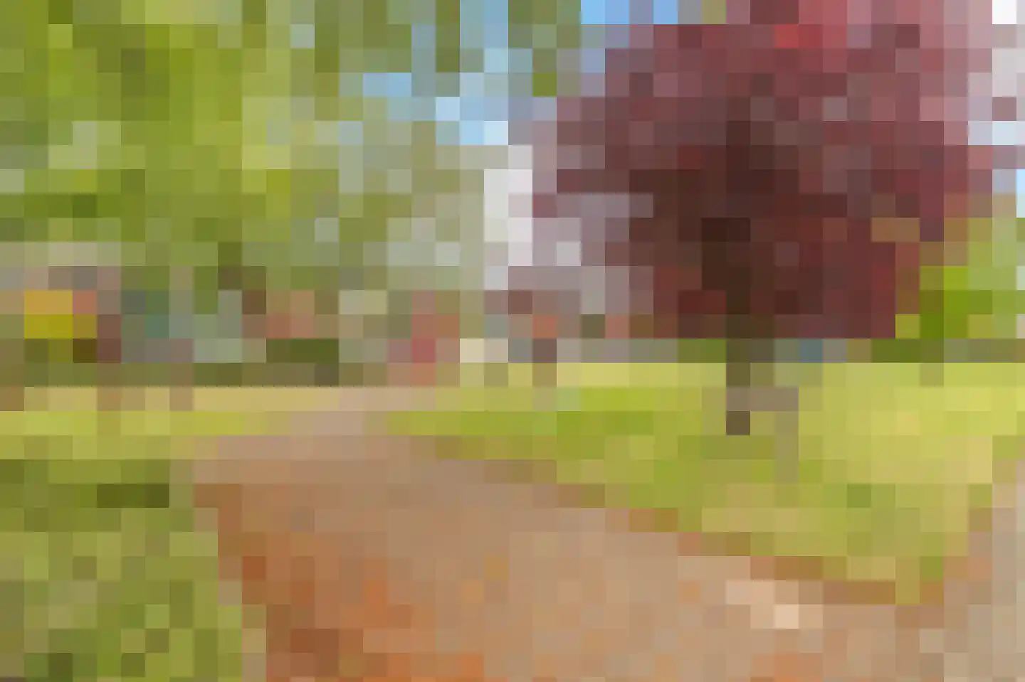 Beemsterstraat 34 Hoofddorp thumbnail 38