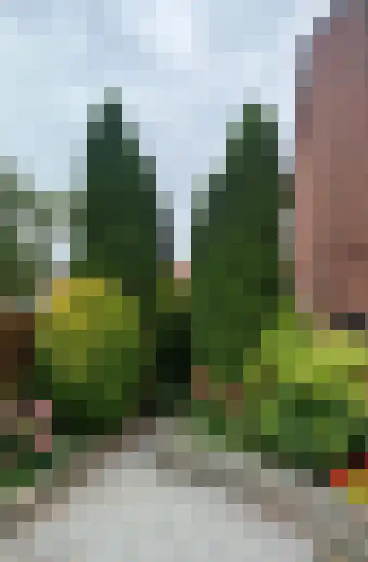 Beemsterstraat 71 Hoofddorp thumbnail 45