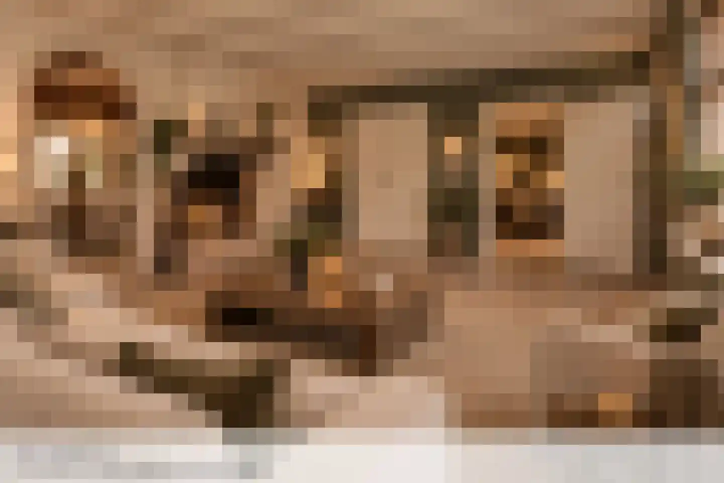 Beemstraat 3 Nieuwaal thumbnail 10