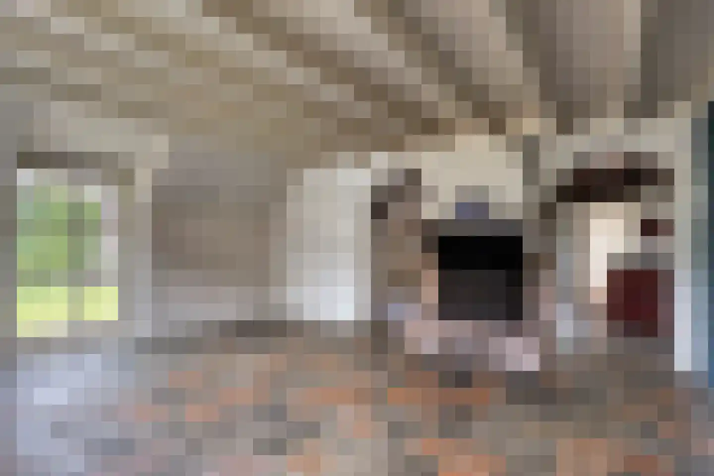 Beemstraat 3 Nieuwaal thumbnail 12