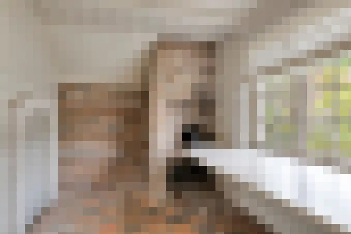 Beemstraat 3 Nieuwaal thumbnail 14