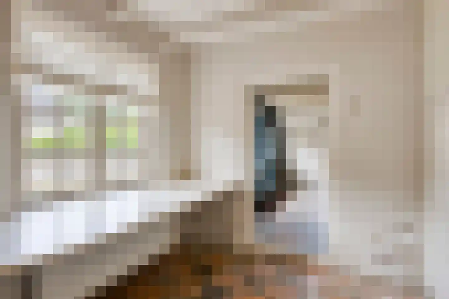 Beemstraat 3 Nieuwaal thumbnail 16