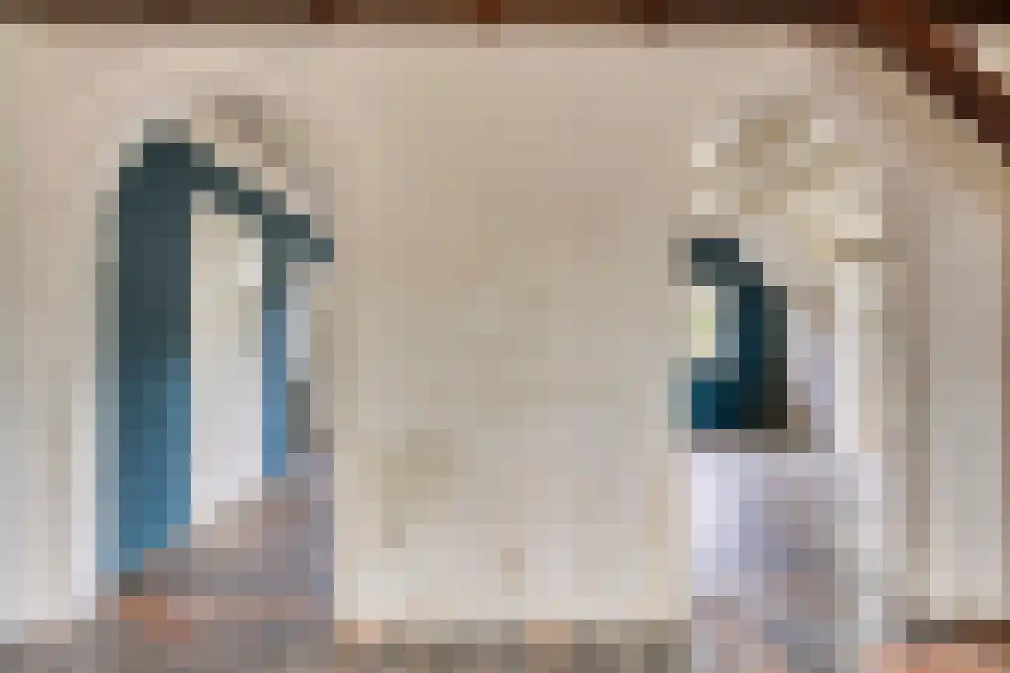 Beemstraat 3 Nieuwaal thumbnail 17