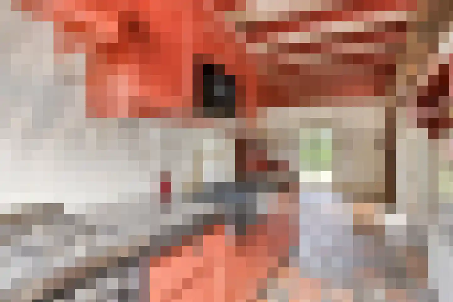 Beemstraat 3 Nieuwaal thumbnail 23