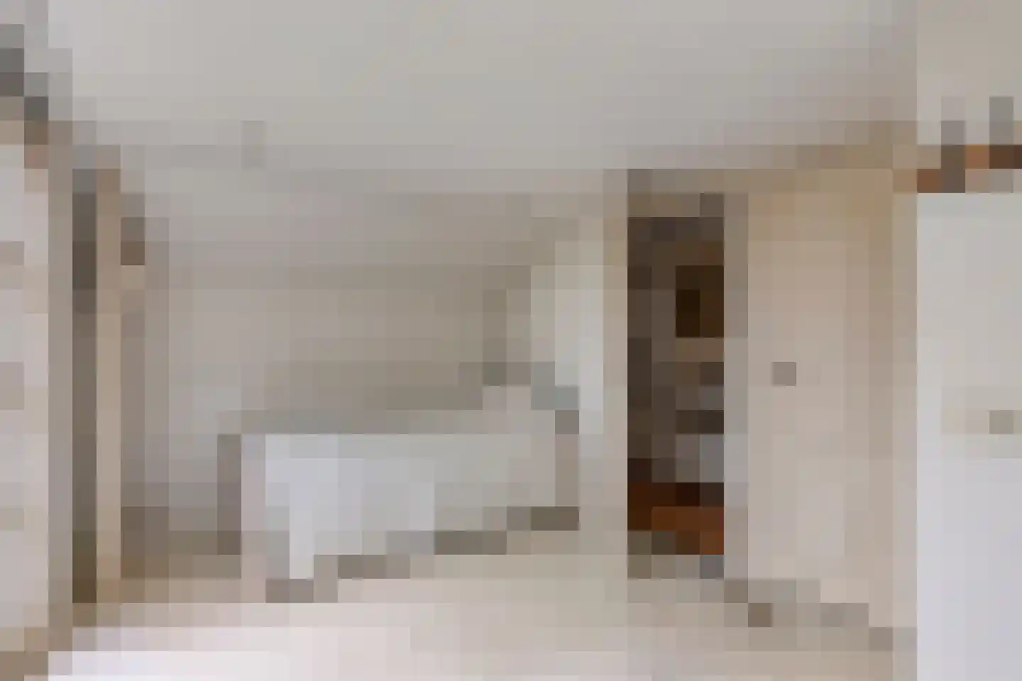 Beemstraat 3 Nieuwaal thumbnail 26