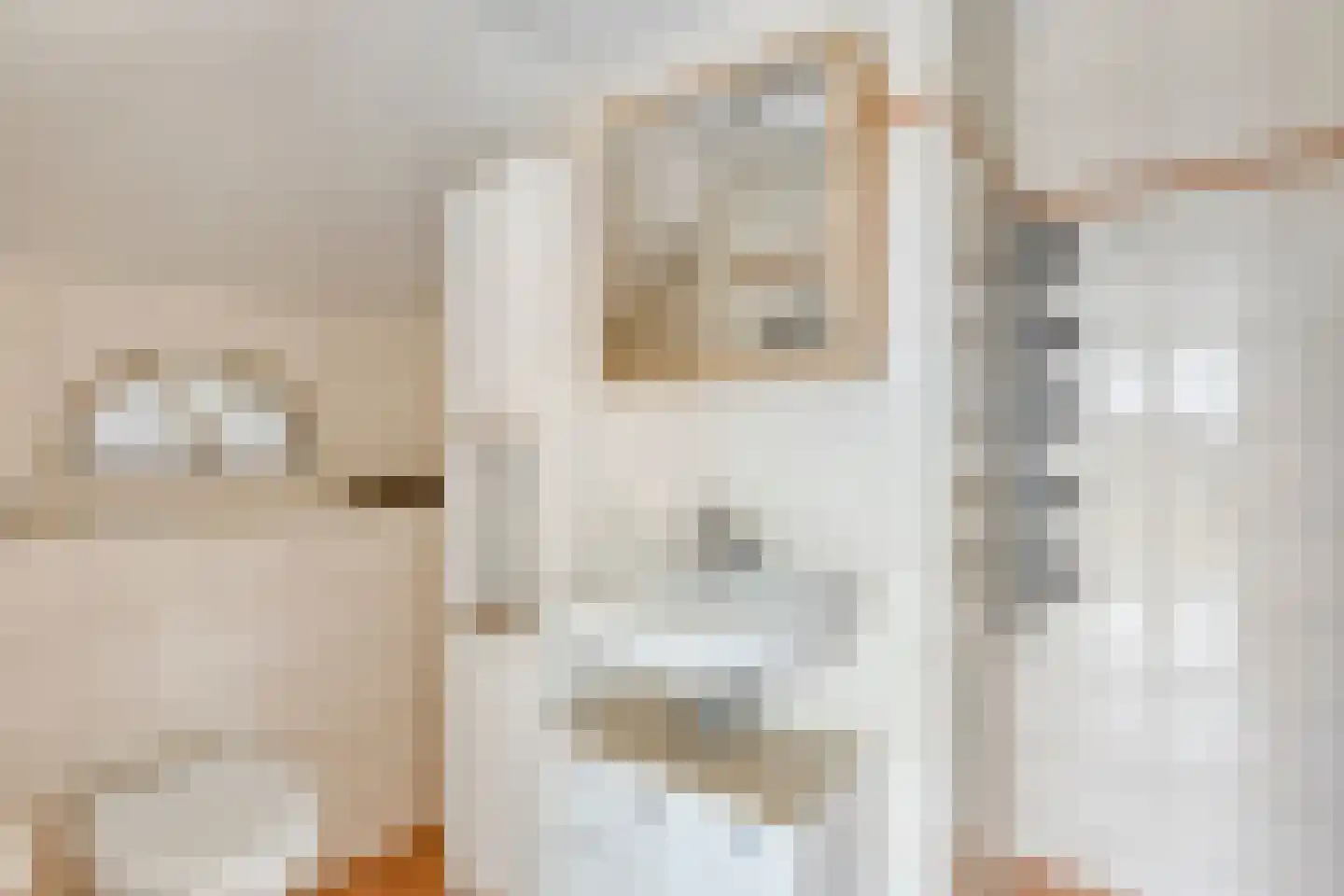 Beemstraat 3 Nieuwaal thumbnail 27