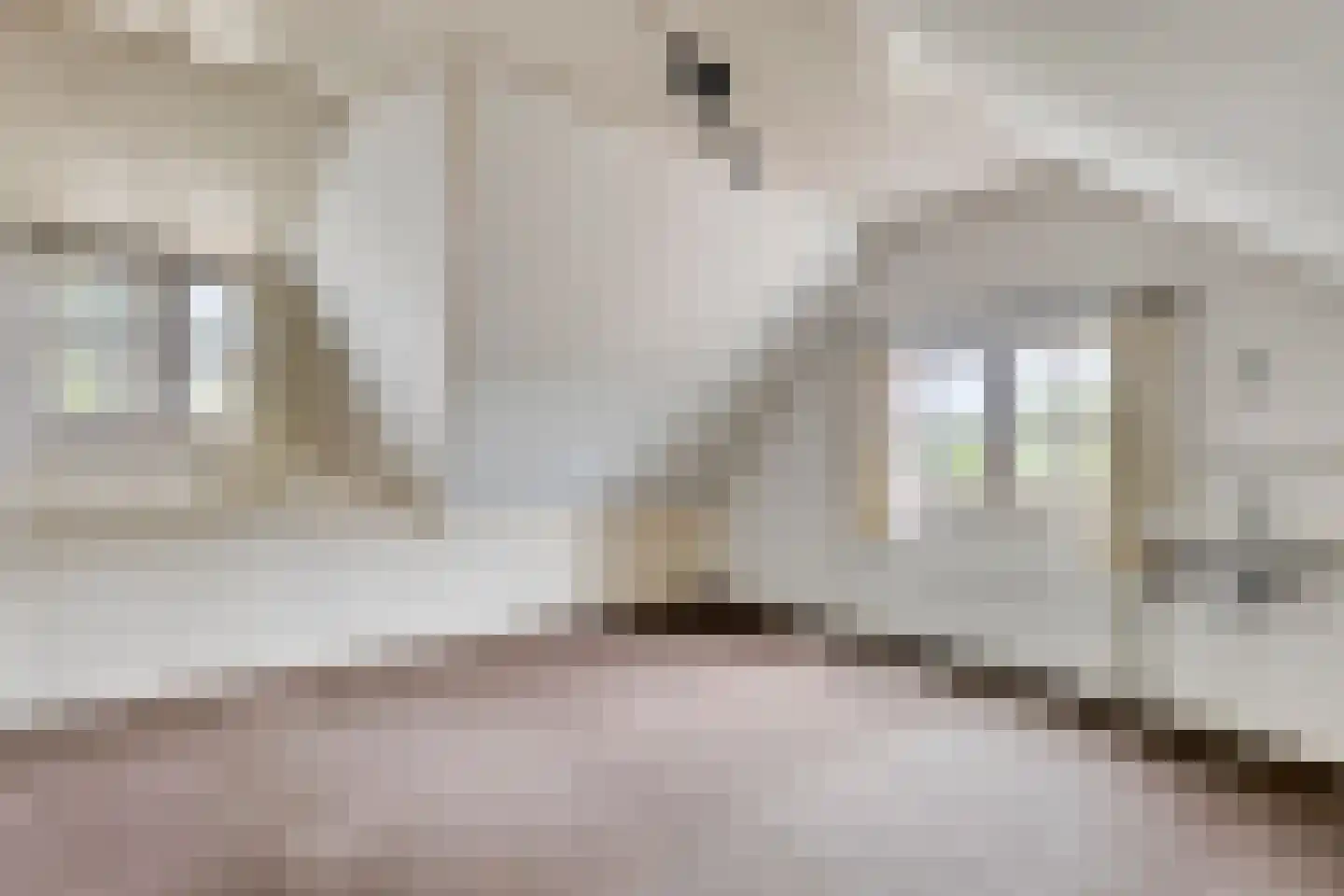 Beemstraat 3 Nieuwaal thumbnail 28