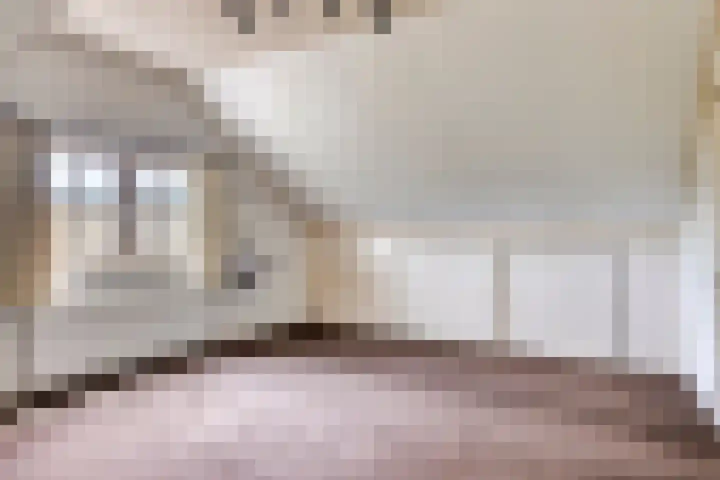 Beemstraat 3 Nieuwaal thumbnail 29