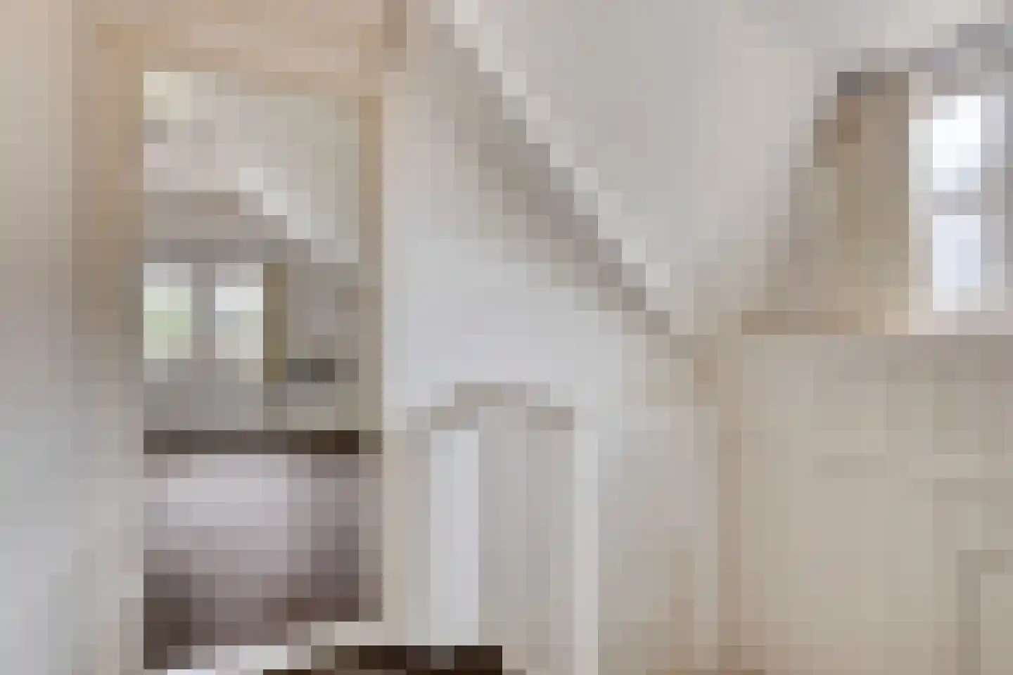 Beemstraat 3 Nieuwaal thumbnail 31