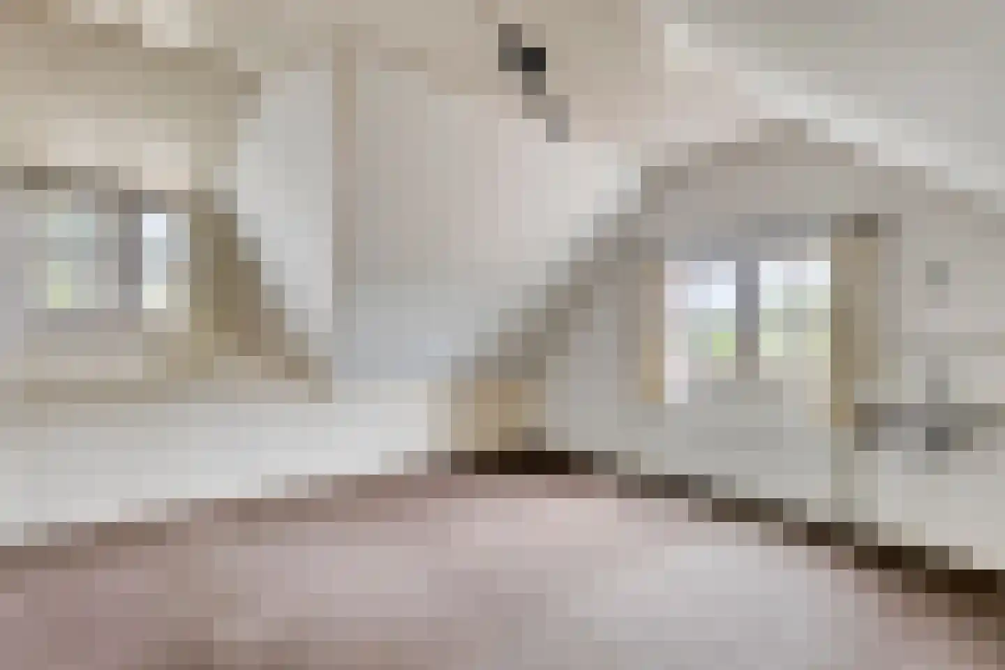 Beemstraat 3 Nieuwaal thumbnail 32