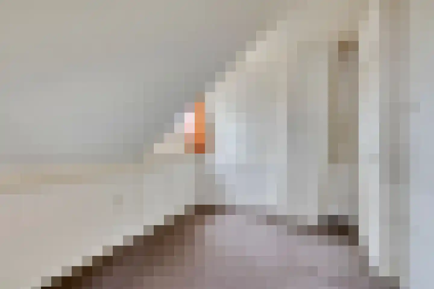 Beemstraat 3 Nieuwaal thumbnail 35