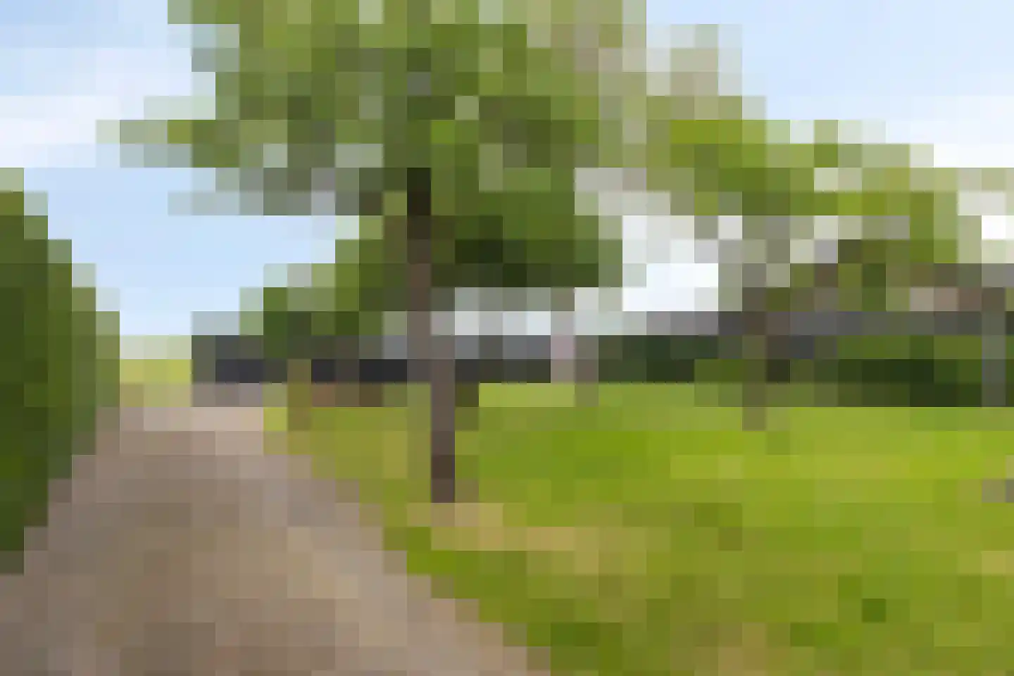 Beemstraat 3 Nieuwaal thumbnail 39