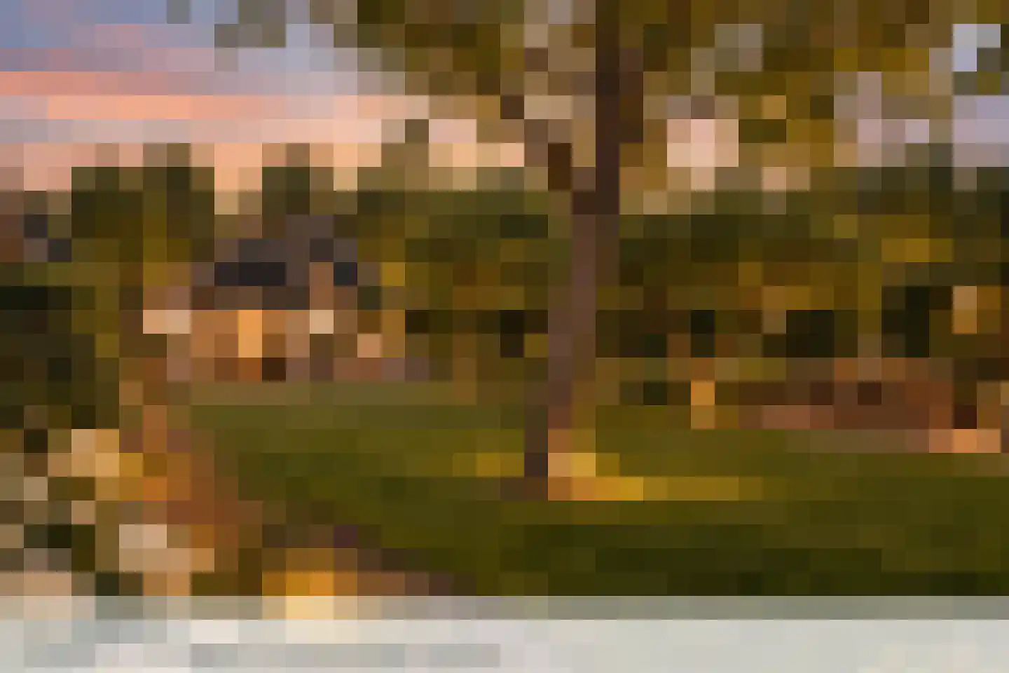 Beemstraat 3 Nieuwaal thumbnail 4