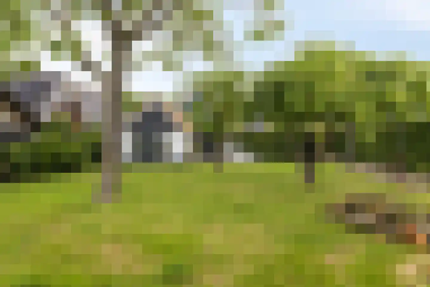 Beemstraat 3 Nieuwaal thumbnail 40