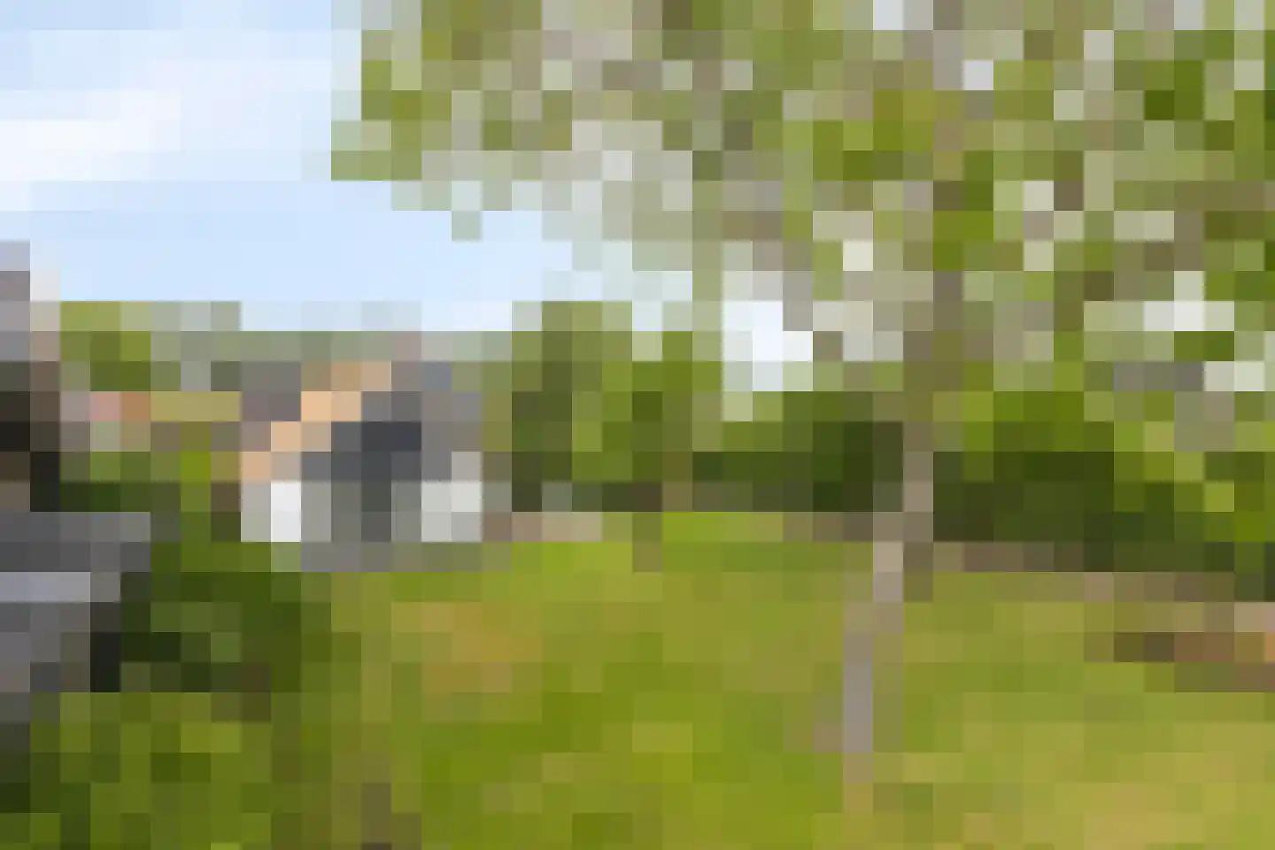 Beemstraat 3 Nieuwaal thumbnail 41
