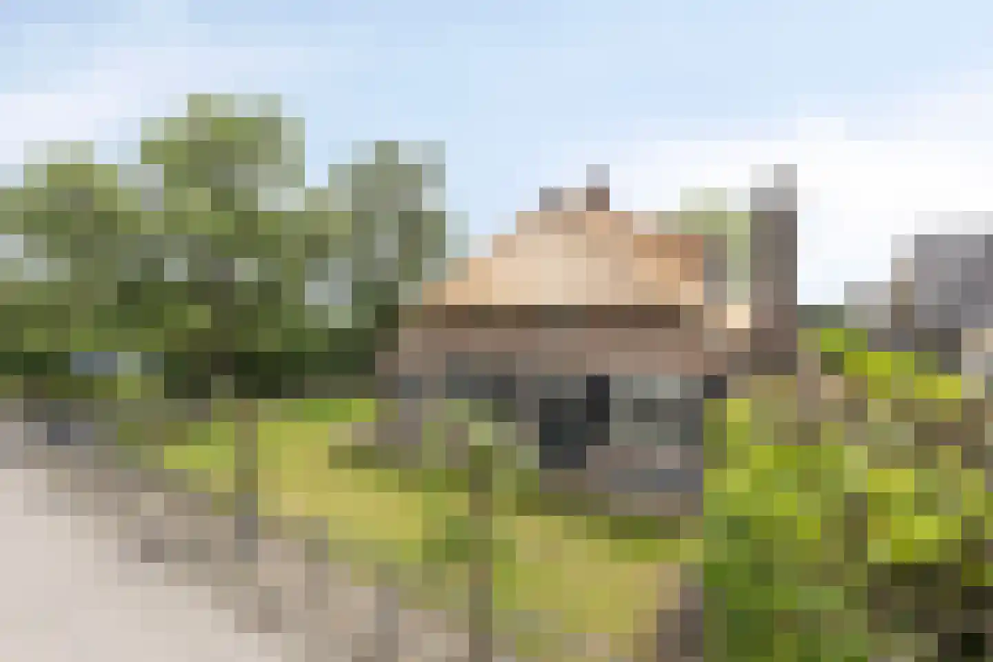 Beemstraat 3 Nieuwaal thumbnail 5
