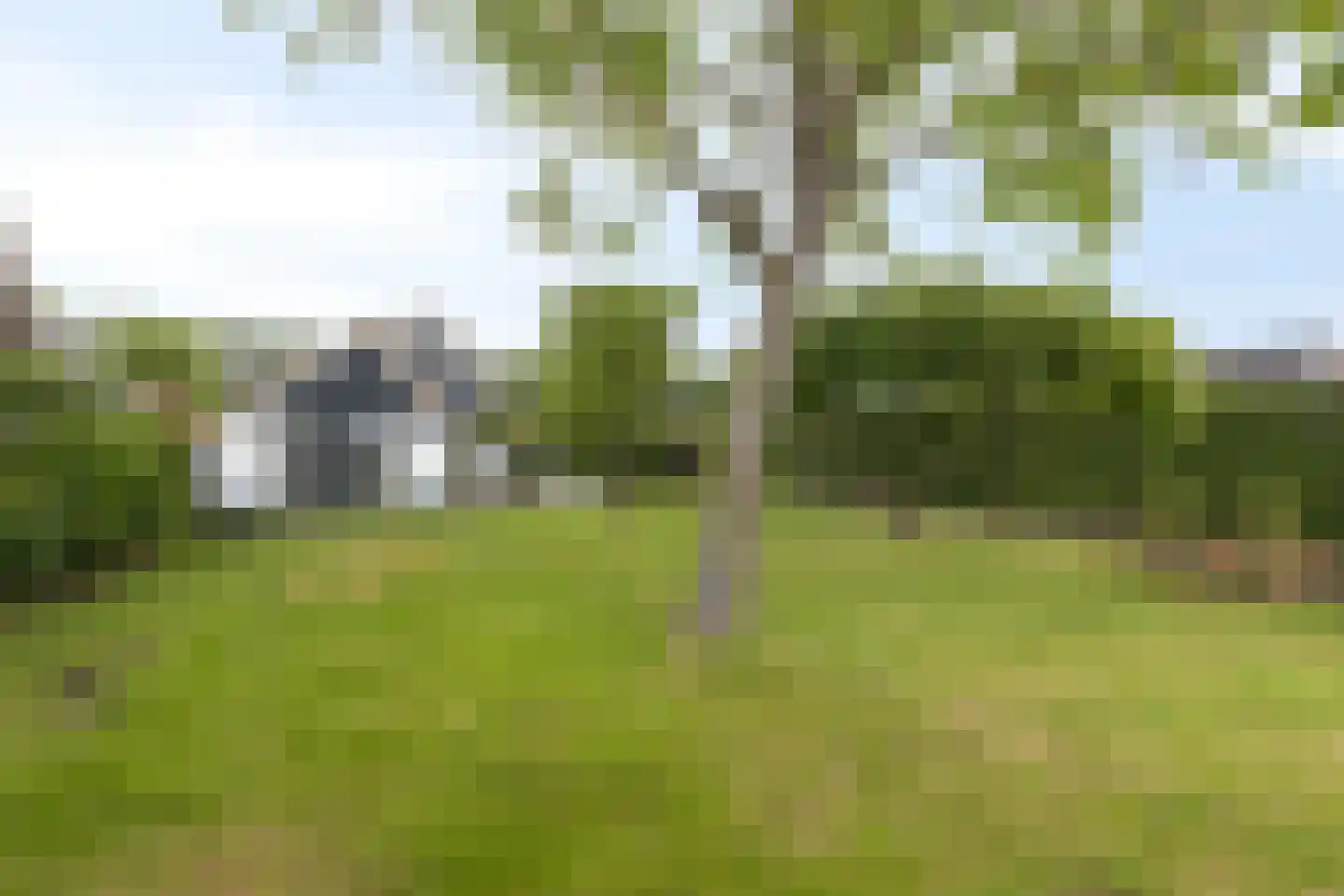 Beemstraat 3 Nieuwaal thumbnail 7