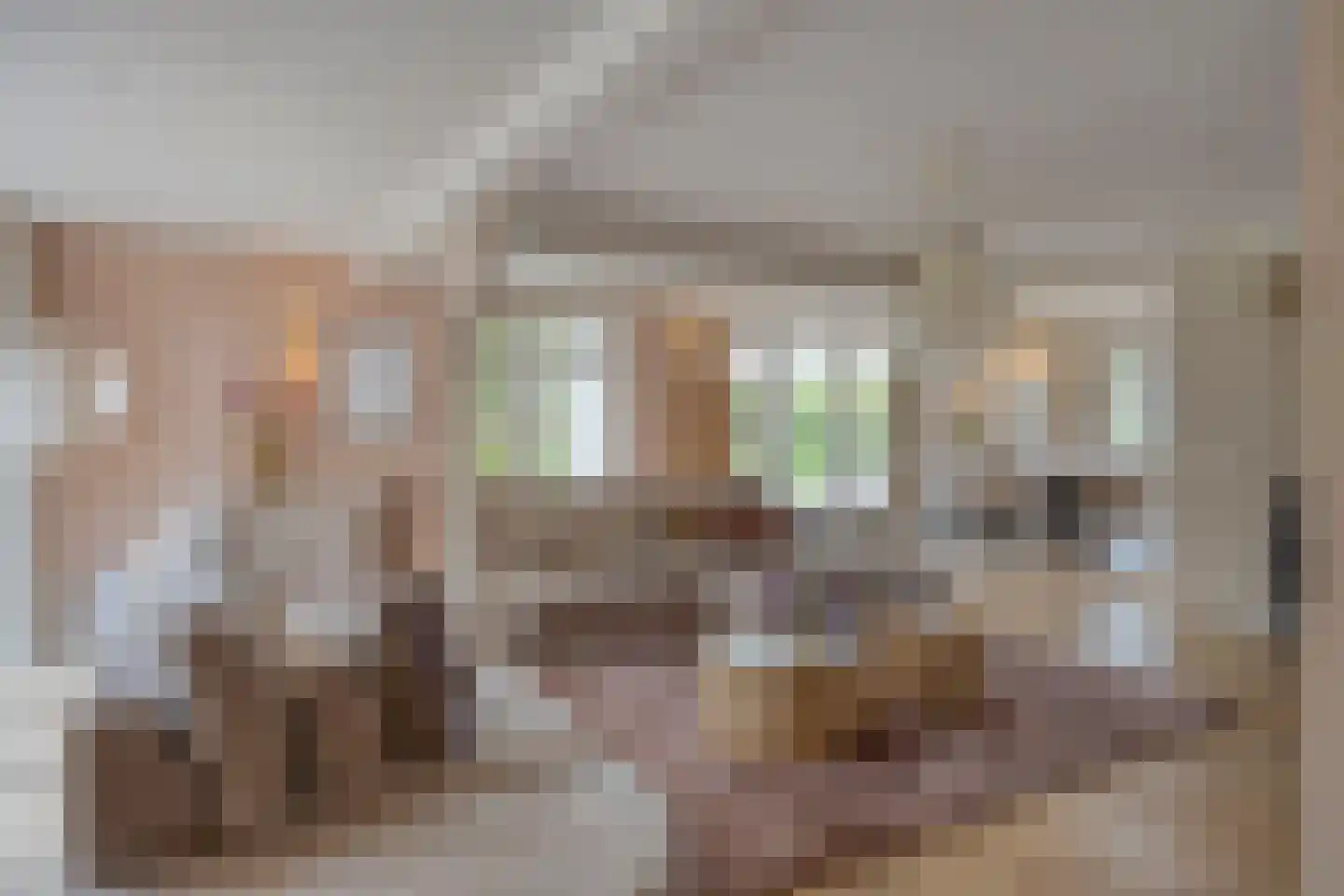 Beemstraat 44 Gameren thumbnail 13
