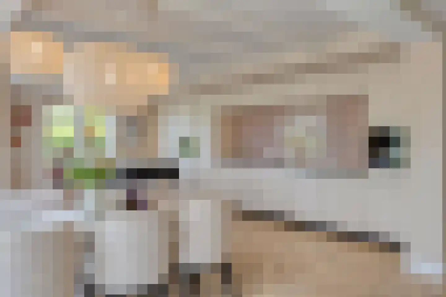 Beemstraat 44 Gameren thumbnail 15