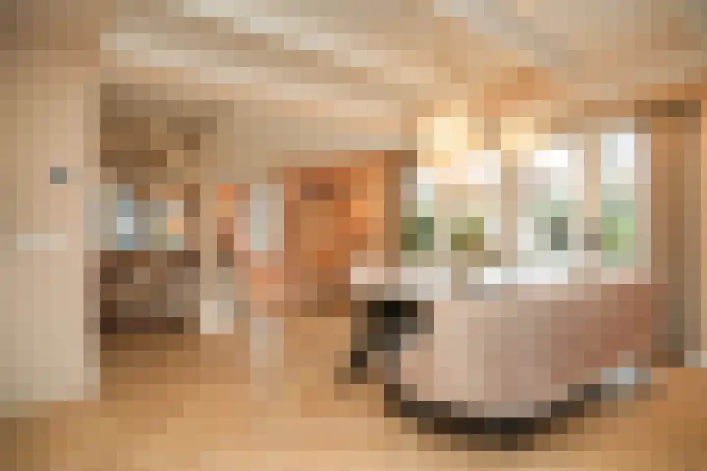 Beemstraat 44 Gameren thumbnail 15