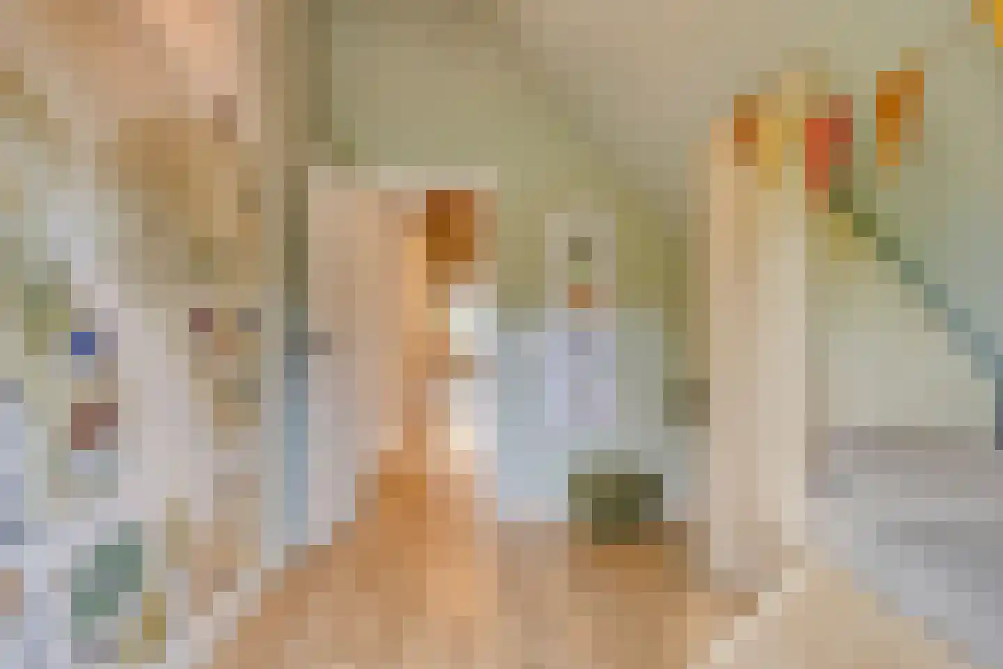 Beemstraat 44 Gameren thumbnail 31