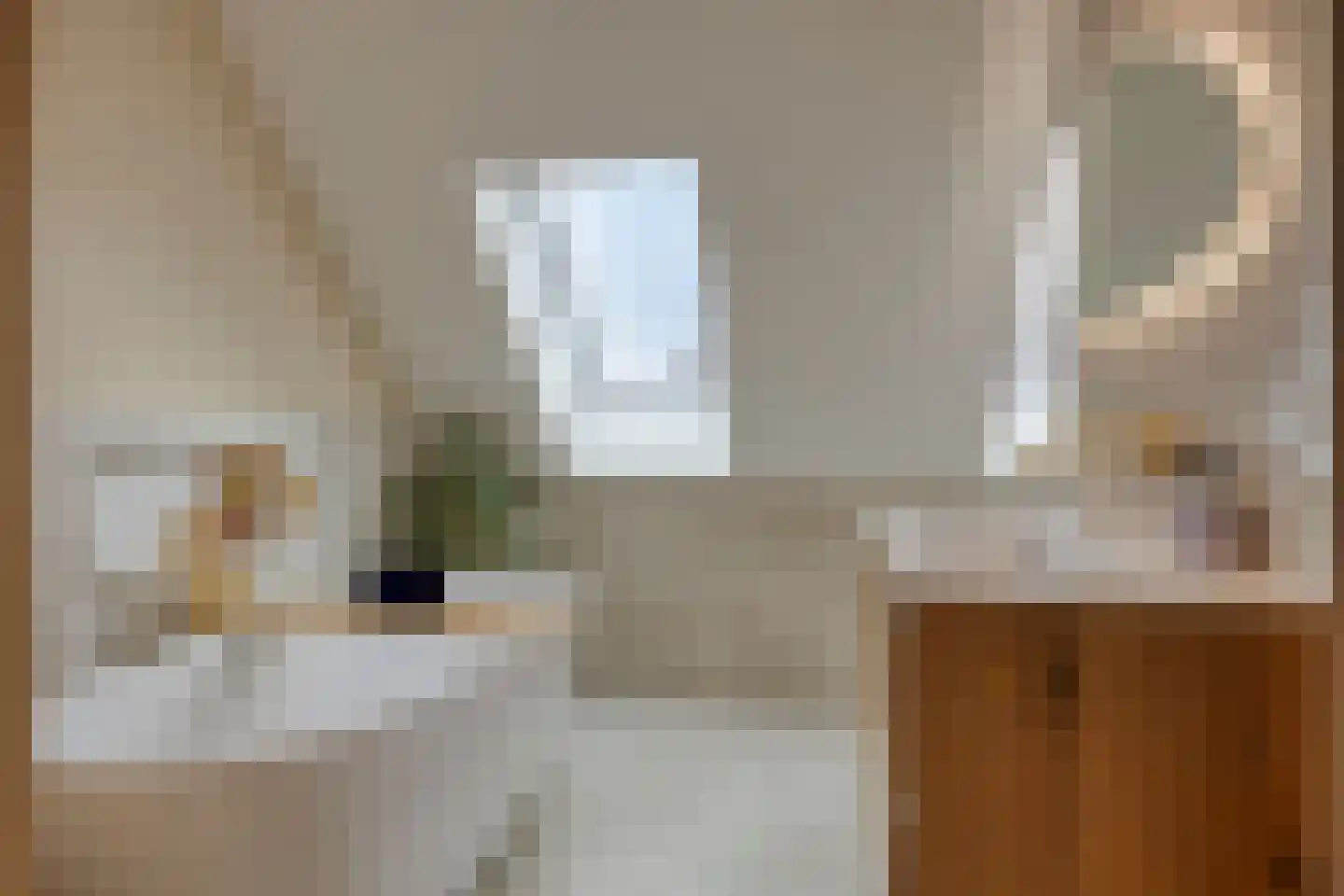 Beemstraat 44 Gameren thumbnail 34