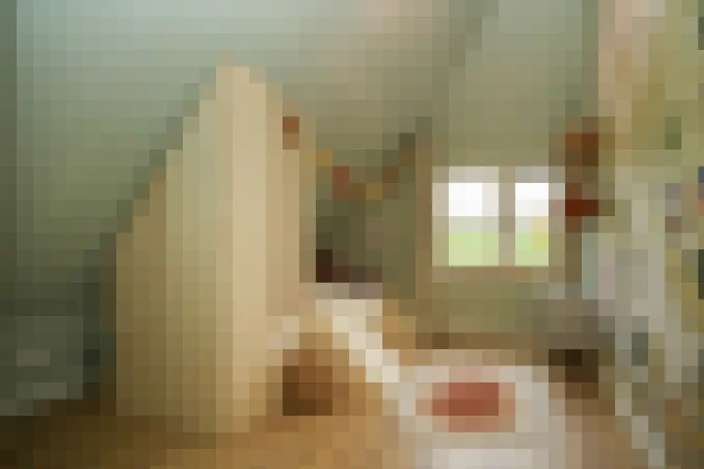 Beemstraat 44 Gameren thumbnail 35