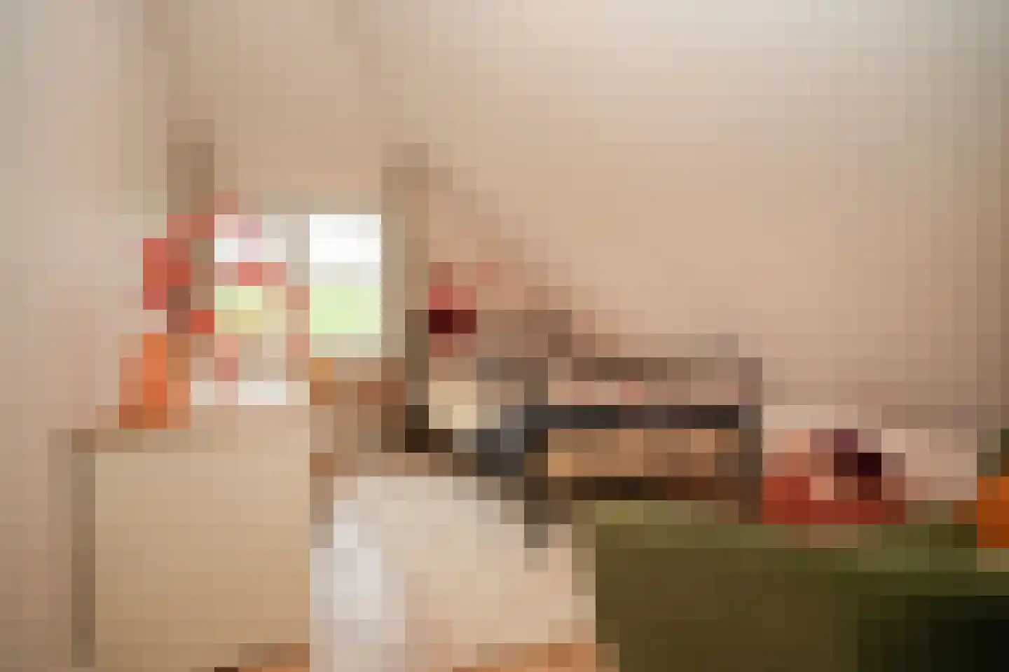 Beemstraat 44 Gameren thumbnail 36