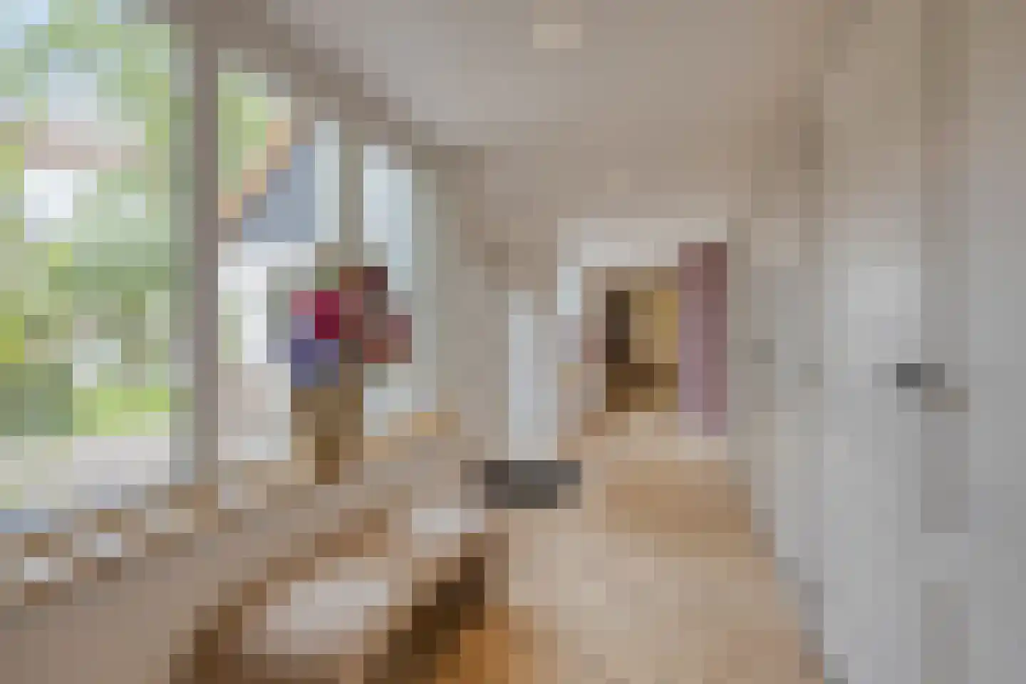 Beemstraat 44 Gameren thumbnail 38