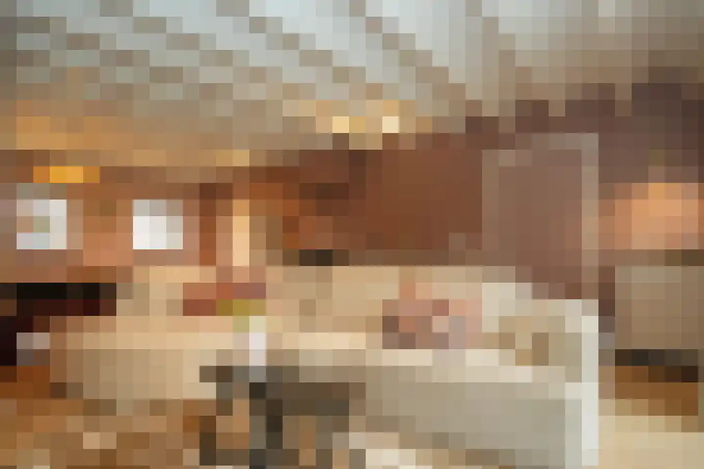 Beemstraat 44 Gameren thumbnail 45
