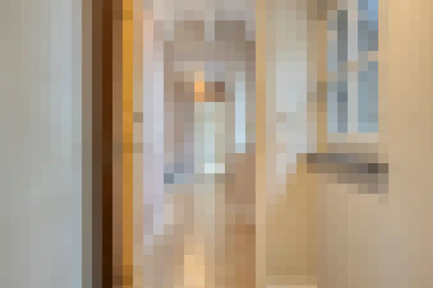 Beemstraat 44 Gameren thumbnail 46