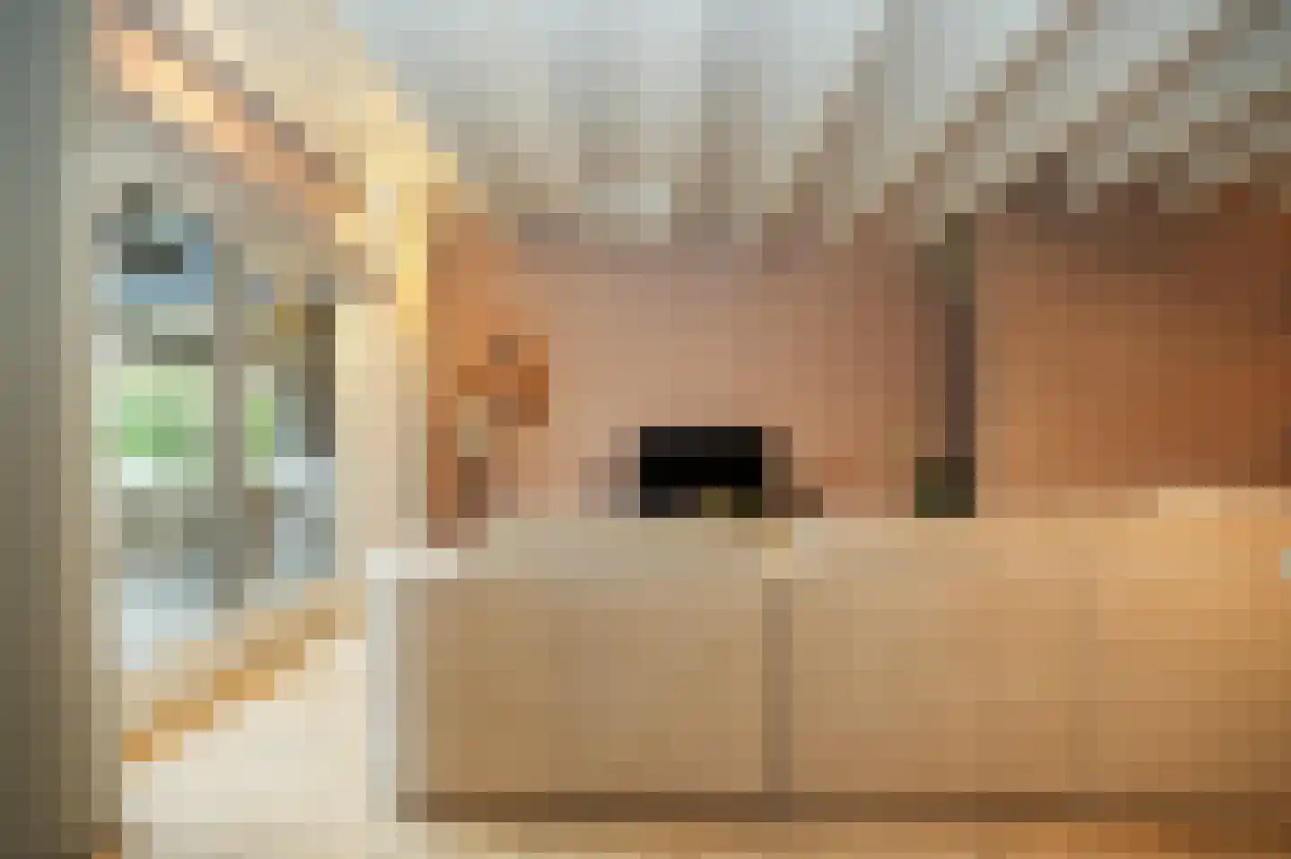 Beemstraat 44 Gameren thumbnail 47