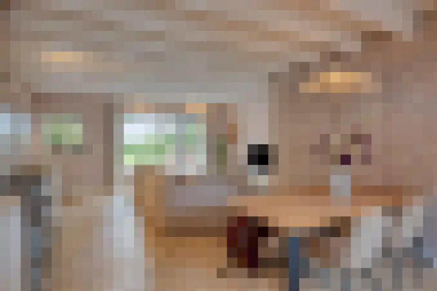 Beemstraat 44 Gameren thumbnail 47