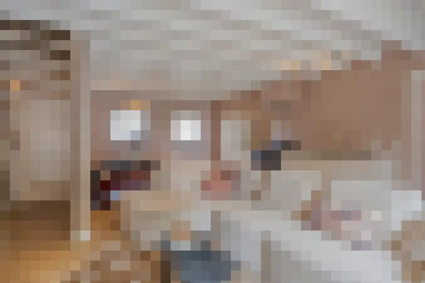 Beemstraat 44 Gameren thumbnail 49
