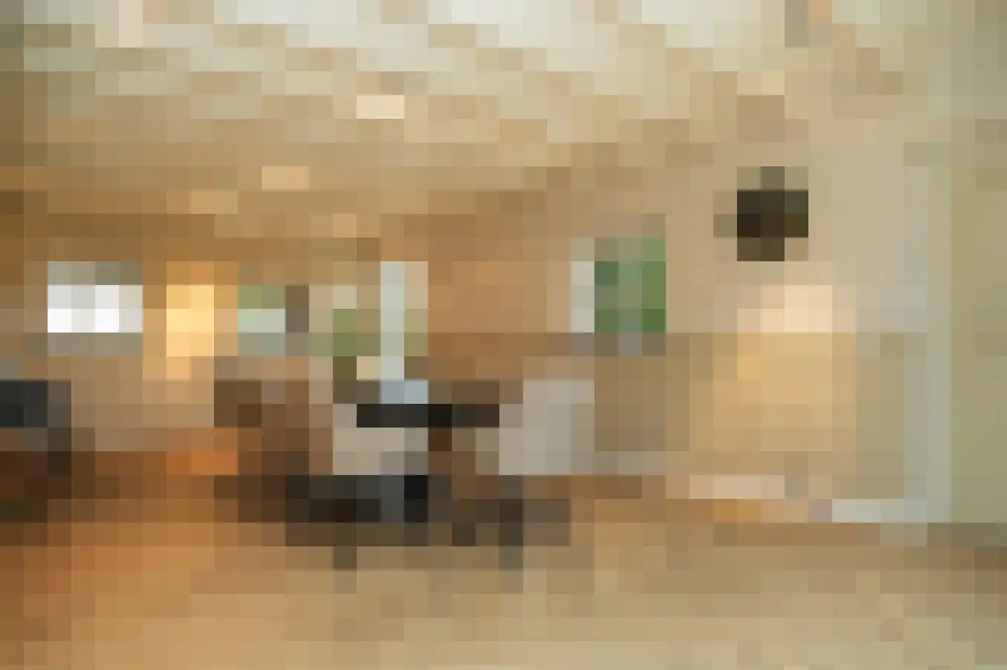 Beemstraat 44 Gameren thumbnail 50