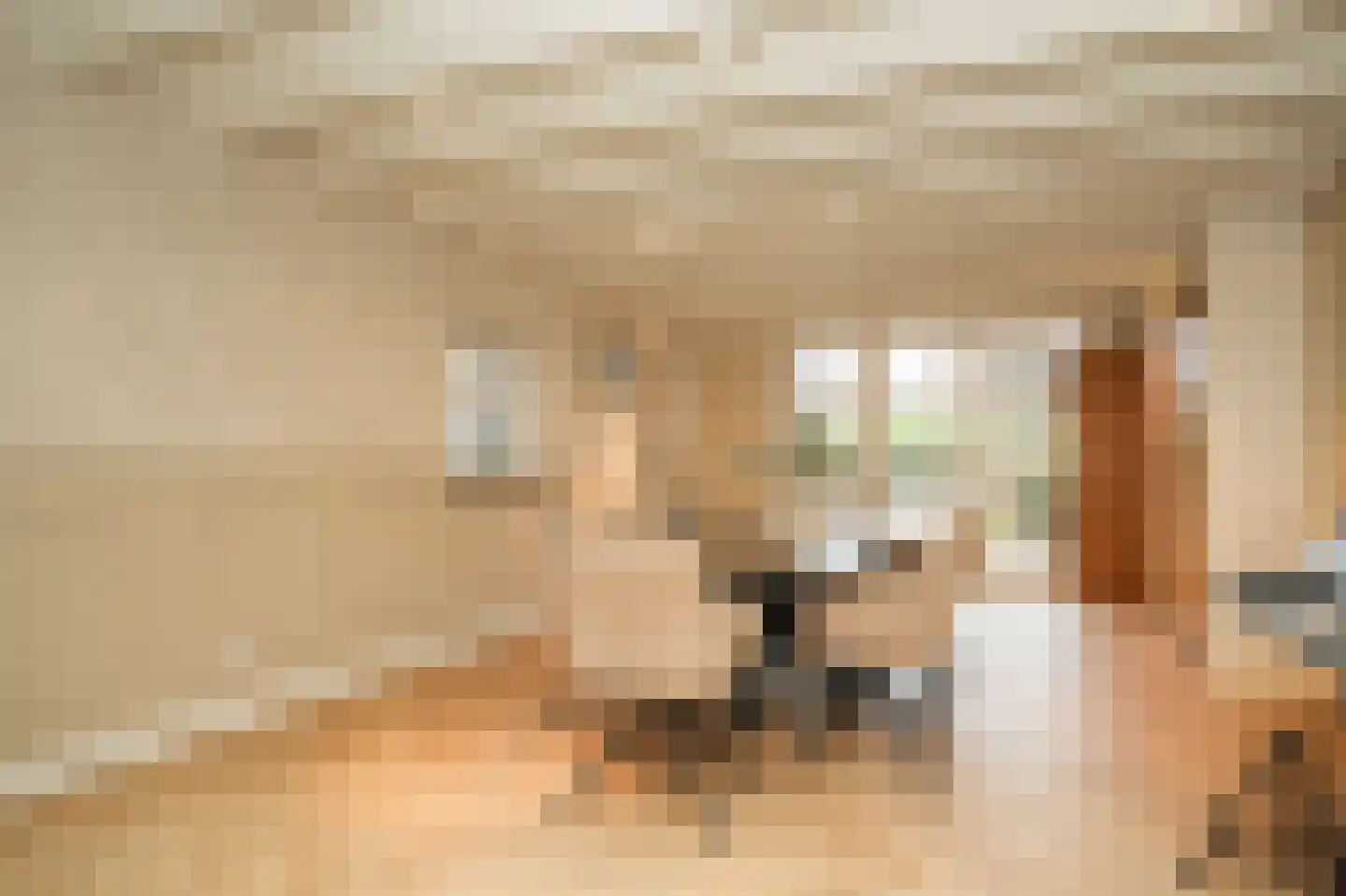 Beemstraat 44 Gameren thumbnail 51